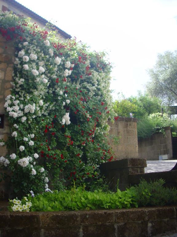 Chiara E Benedetta Villa Degli Ulivi Orvieto Eksteriør bilde