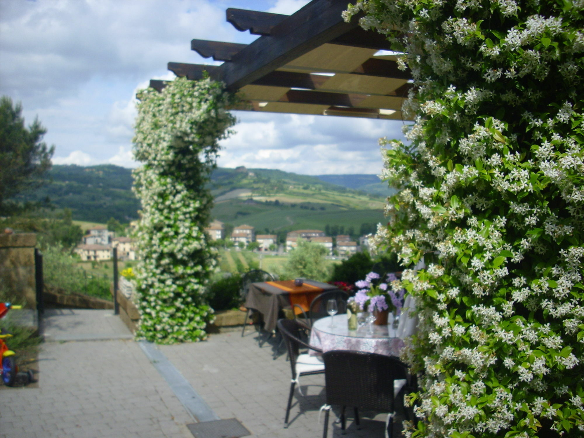 Chiara E Benedetta Villa Degli Ulivi Orvieto Eksteriør bilde